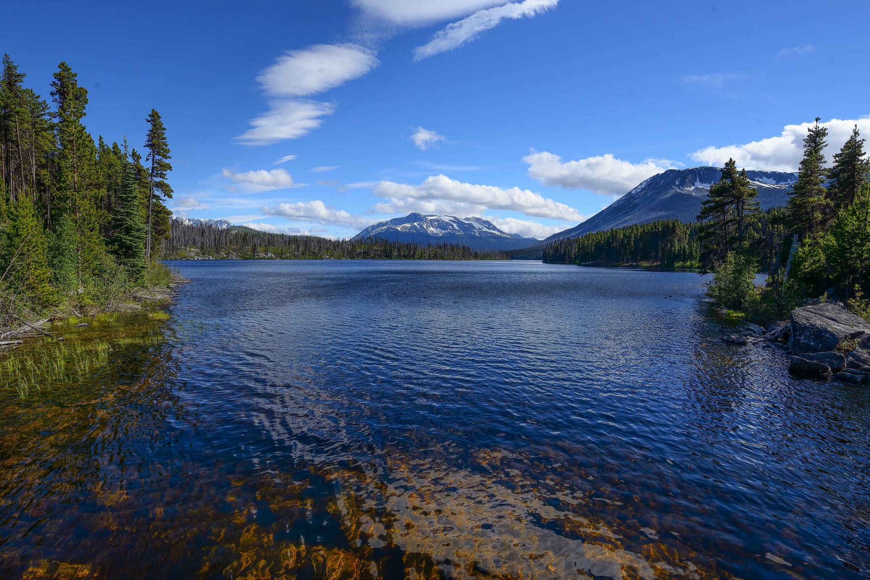 CANADAVIRUS Tweedsmuir Park Turner Lake